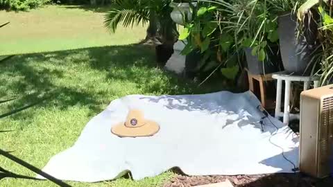 Snapshot of eliberator chatting on September 2025 05:03:01 PM eliberator online show from September 2025 05:03:01 PM