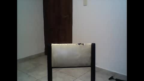 Snapshot of elirodd chatting on January 2025 06:09:01 AM Rod online show from January 2025 06:09:01 AM