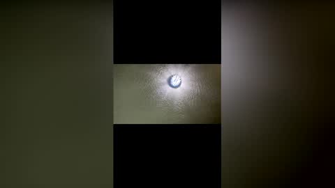 elishacohen33 online show from April 2026 05:30:01 PM