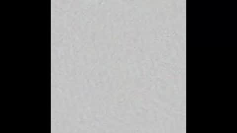 Eli online show from March 2025 06:55:01 PM