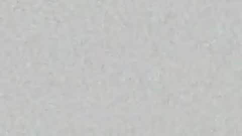 elle_hadid online show from June 2026 11:47:02 AM