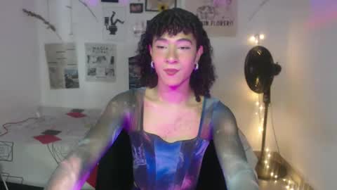  . online show from December 2025 07:31:02 PM