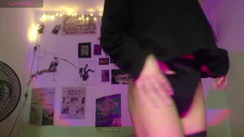  . online show from February 2026 02:53:01 AM