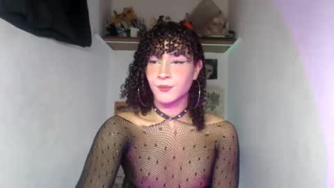  . online show from July 2026 01:08:02 AM