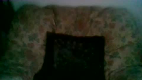 elmo191271 online show from January 2026 08:06:02 AM