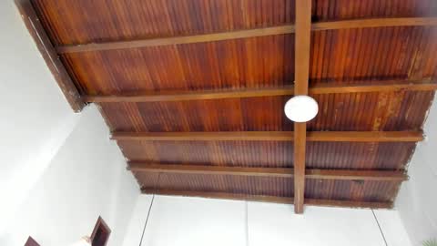 Emily  online show from February 2026 11:00:01 AM