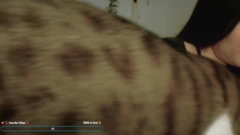 Emily Alexa online show from December 2025 01:08:01 PM