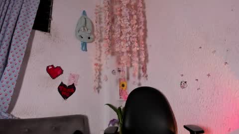 Snapshot of emilycollei chatting on June 2026 05:02:01 AM Emily online show from June 2026 05:02:01 AM