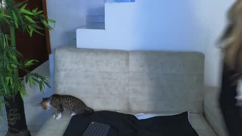 Emma Blue  modelo independiente online show from October 2025 04:05:02 AM