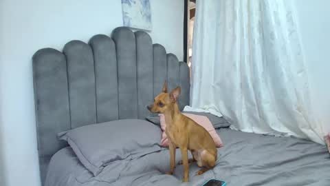 Snapshot of emma_saenz01 chatting on February 2026 08:37:02 PM emma_saenz01 online show from February 2026 08:37:02 PM