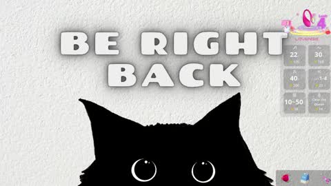   online show from April 2026 11:33:01 AM