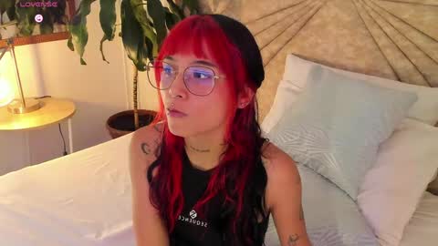           online show from April 2026 07:42:01 PM