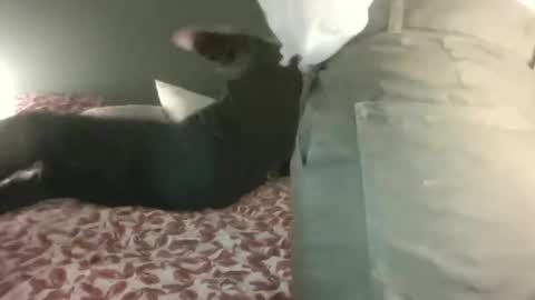 Snapshot of ericstephcam31 chatting on February 2025 10:06:02 PM Steph et Eric online show from February 2025 10:06:02 PM