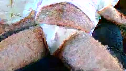 erifsievol online show from May 2026 11:54:01 PM