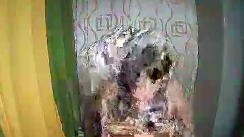 Snapshot of ervanamorge chatting on February 2026 05:07:02 PM Ervana online show from February 2026 05:07:02 PM