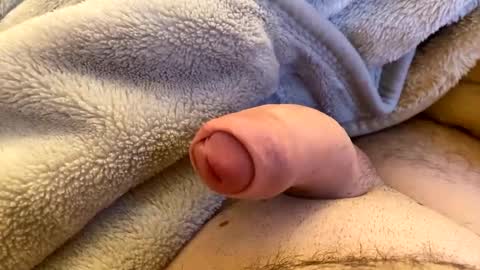 London69999 online show from December 2024 08:29:01 AM