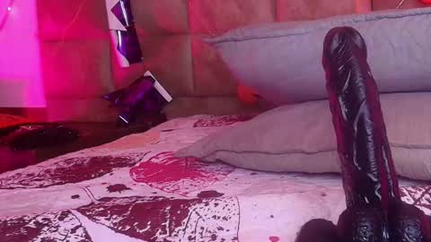 Estrella online show from November 2025 11:56:02 AM