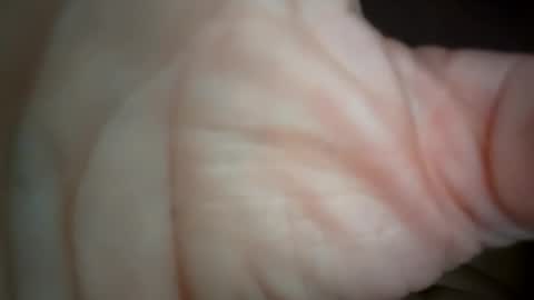 Snapshot of ethereumumm chatting on October 2025 06:31:01 PM ethereumumm online show from October 2025 06:31:01 PM