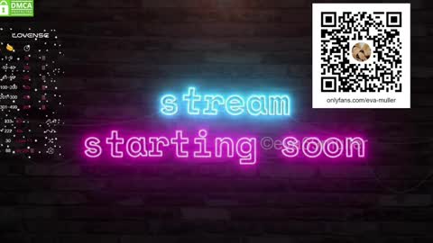 Snapshot of eva69muller chatting on January 2025 09:15:01 AM Eva  next show  8pm CEST AMST online show from January 2025 09:15:01 AM