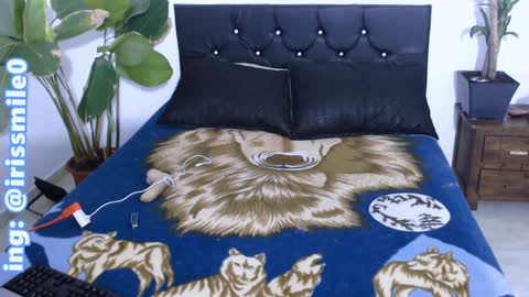 Snapshot of eva_brooks1 chatting on December 2024 03:36:02 AM Iris Smile independent model online show from December 2024 03:36:02 AM