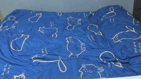 Eva online show from February 2025 02:04:01 PM