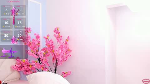 evahalston online show from January 2025 07:31:01 PM