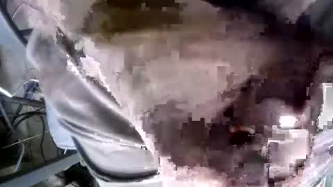 eveline_figeroa3 online show from June 2026 10:31:02 AM