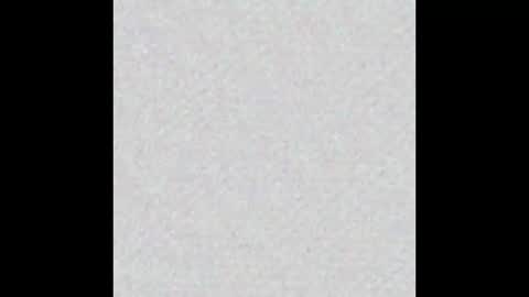 Evelinn belen online show from October 2025 12:56:02 PM