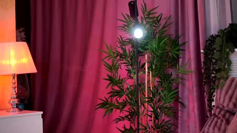 Evelyn online show from February 2025 07:31:02 PM