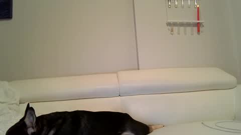 Badblondebunny online show from December 2024 12:05:01 AM