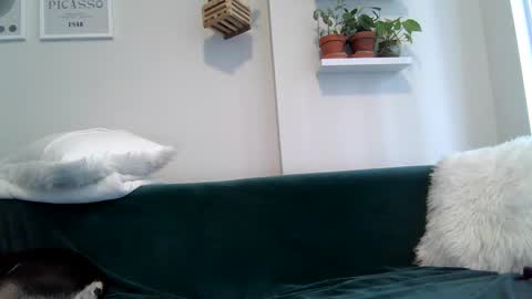 Badblondebunny online show from September 2025 08:55:02 PM