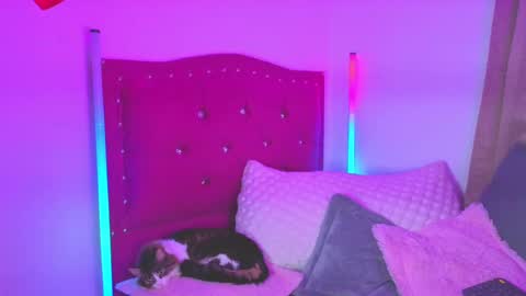 Snapshot of evy_orange1 chatting on September 2025 01:21:01 AM EVY online show from September 2025 01:21:01 AM