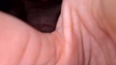 Exhibboytoy3 online show from March 2026 07:24:01 AM