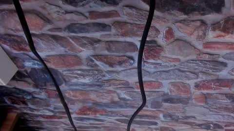 Snapshot of exotic_trans chatting on January 2026 08:23:01 PM Adriana online show from January 2026 08:23:01 PM