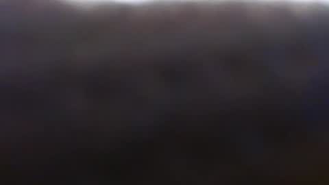 Snapshot of exoticlexi chatting on October 2025 07:45:02 PM Exoticlexxii online show from October 2025 07:45:02 PM