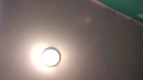 experttreecompany online show from February 2026 09:54:01 PM