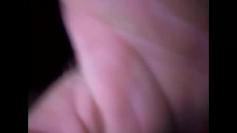 experttreecompany online show from March 2026 11:47:02 AM