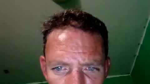 experttreecompany online show from March 2026 06:06:02 AM