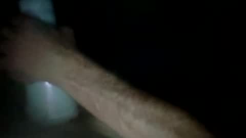 experttreecompany online show from March 2026 12:32:01 PM