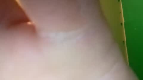 experttreecompany online show from April 2026 04:55:02 PM