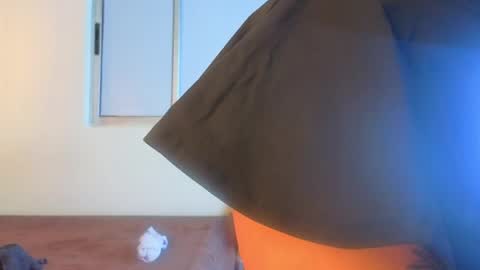   online show from June 2026 12:19:01 PM