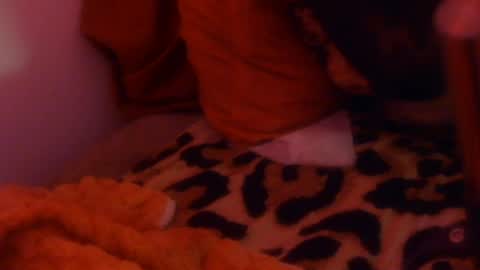eyelyke2kream online show from July 2026 08:51:01 AM