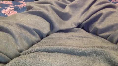 Snapshot of facedownassup219267 chatting on January 2025 08:42:01 PM facedownassup219267 online show from January 2025 08:42:01 PM