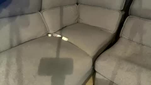 facesd online show from February 2025 05:59:01 PM