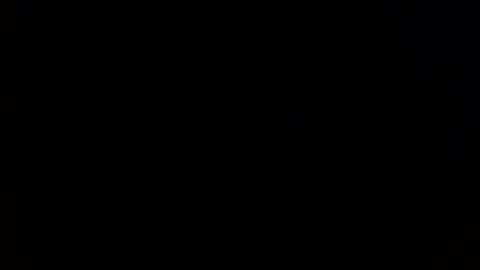 facesd online show from April 2026 12:15:01 AM