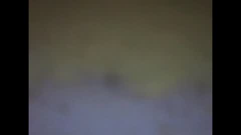 Snapshot of fafafa923 chatting on January 2025 11:15:01 PM fafafa923 online show from January 2025 11:15:01 PM