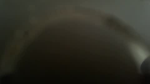 falushp online show from February 2025 11:52:01 AM