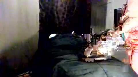Snapshot of fancie8 chatting on June 2026 10:54:01 PM Fancie8 online show from June 2026 10:54:01 PM