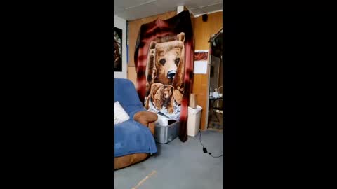 Scarlett online show from February 2026 07:23:01 AM