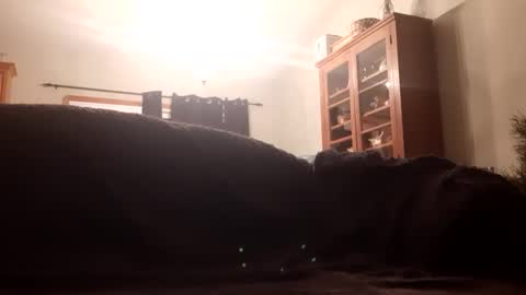 Farm2boy online show from January 2025 02:09:02 AM